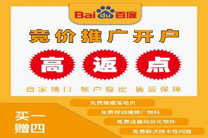 百度竞价代理的预算管理与效果评估案例
